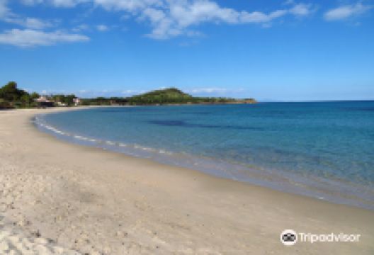Spiaggia dei Fichi景点图片