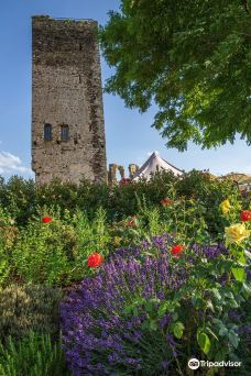 Metternich Castle-拜尔施泰因