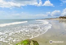 Edisto Beach State Park景点图片