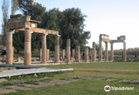 Archaeological Museum of Brauron景点图片