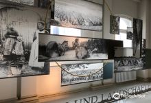 Landesmuseum Natur und Mensch景点图片