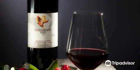 Azienda Vitivinicola Giulia - Sessanea