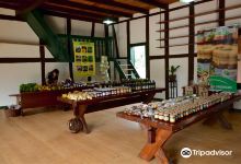 Community Path Museum景点图片