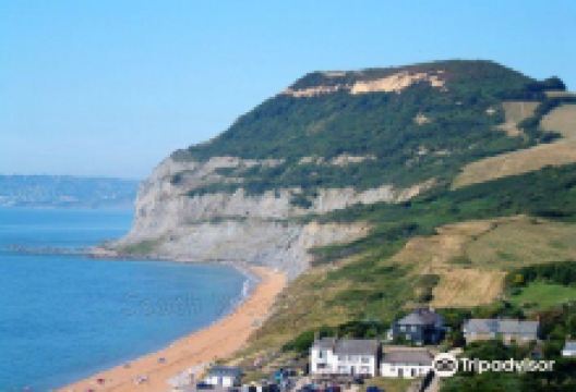 Langdon Hill and St Gabriel's Chapel Walk景点图片