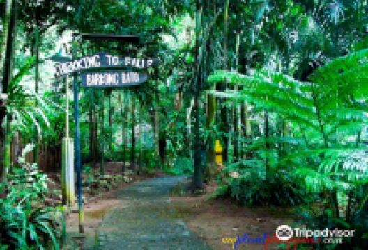 Panguil River Eco-Tourism Park景点图片