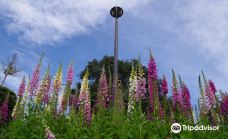 Sunken Gardens-Napier South