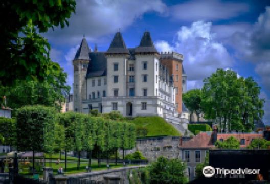 National Museum and the Château de Pau - Official景点图片
