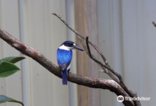 On the Perch Bird Park景点图片