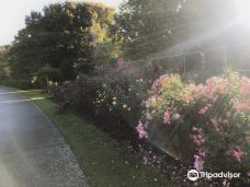 Gore Public Gardens-戈尔