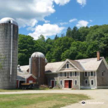 布拉特尔伯勒图片