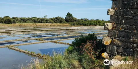Marais Salants de Kervillen