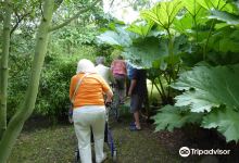 Hoecroft Plants and Gardens景点图片