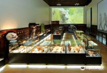 Muzeul judetean de stiintele naturii prahova景点图片
