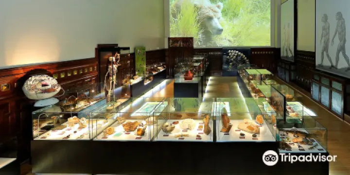 Muzeul judetean de stiintele naturii prahova