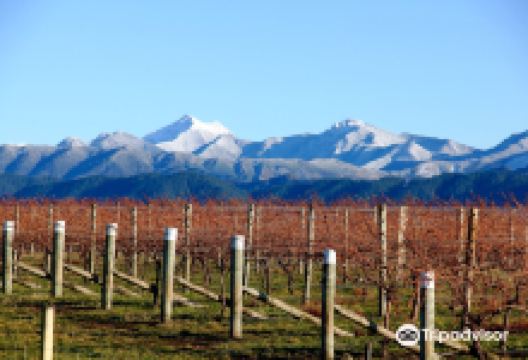 Grove Mill Winery景点图片