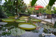 Jardin Botanique du Beau Pays-马克