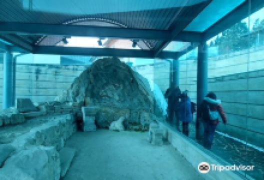 Temple of Mithras景点图片