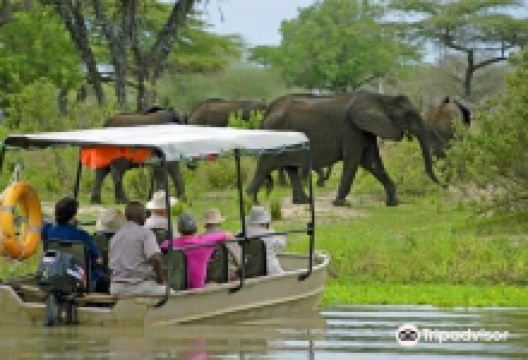 Selous Game Reserve景点图片