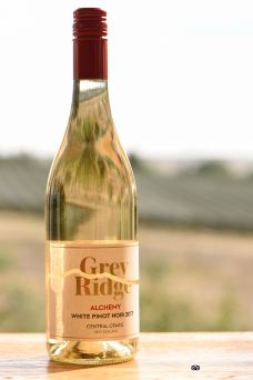 Grey Ridge Vineyard-Letts Gully