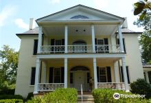 Rose Hill Plantation State Historic Site景点图片