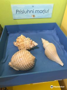 Magical World of Shells Museum-皮兰
