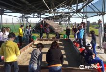 Parco Archeologico del Forcello景点图片