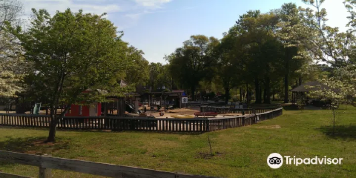 Kids Planet at Century Park