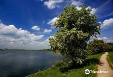 Tring (Marsworth)景点图片