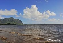 Waiāhole Beach Park景点图片
