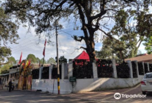 Jhula Devi Temple景点图片