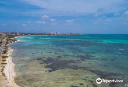 Hadicurari Beach景点图片