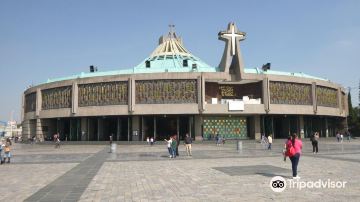 Guadalupe's Basilica Museum