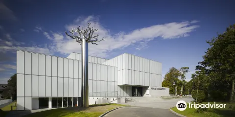 VISUAL Carlow