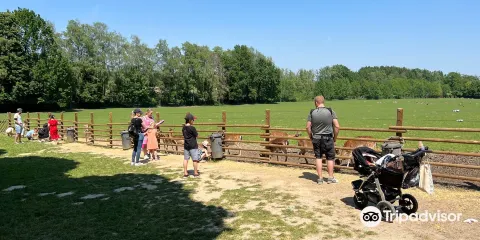 波因野生動物園