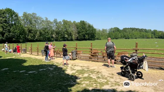 波因野生動物園