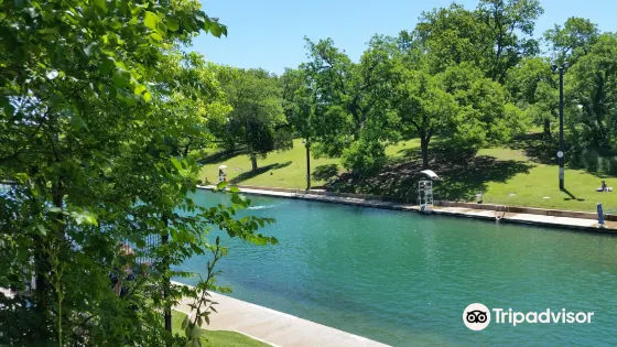 巴頓春池 Barton Springs Pool