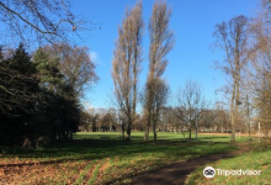 Victoria Park景点图片