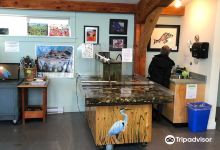 Cowichan Estuary Nature Centre景点图片