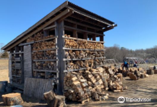 Codman Community Farms景点图片