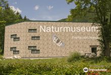 Naturmuseum Salzkammergut - Treffpunkt Natur景点图片
