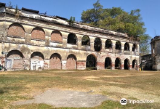 Fort Van Den Bosch景点图片