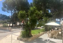 Playas de Paguera景点图片