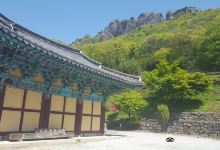 Naejangsa Buddhist Retreat景点图片