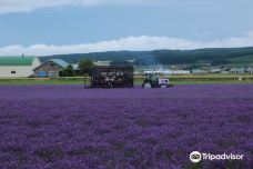 Farm Tomita Lavender East-上富良野町