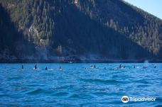 Seward Ocean Excursions-西沃德