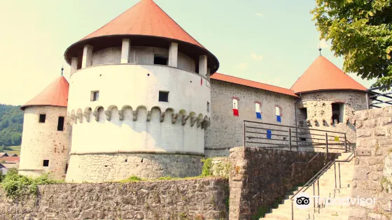 Chateau de Zuzemberk