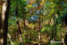 Cheesequake State Park景点图片