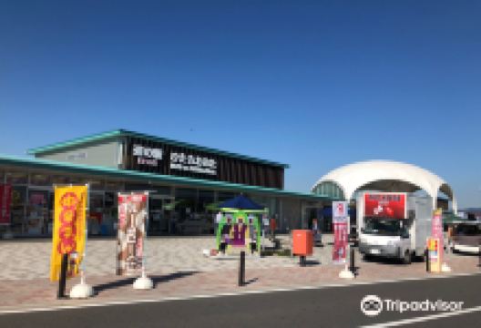 Michi-no-Eki Hitachi Ota购物图片