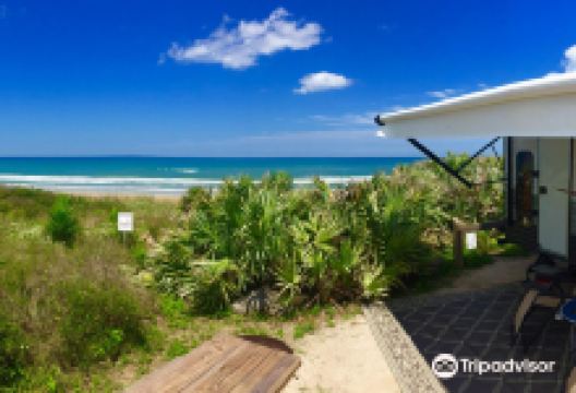 Gamble Rogers State Park景点图片