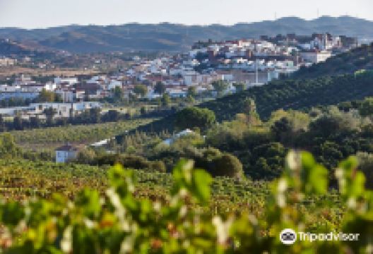 Winery Convento do Paraiso景点图片